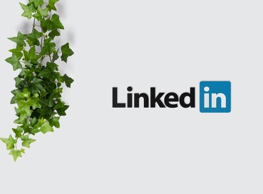 Insignias de LinkedIn y la necesidad de conseguirlas